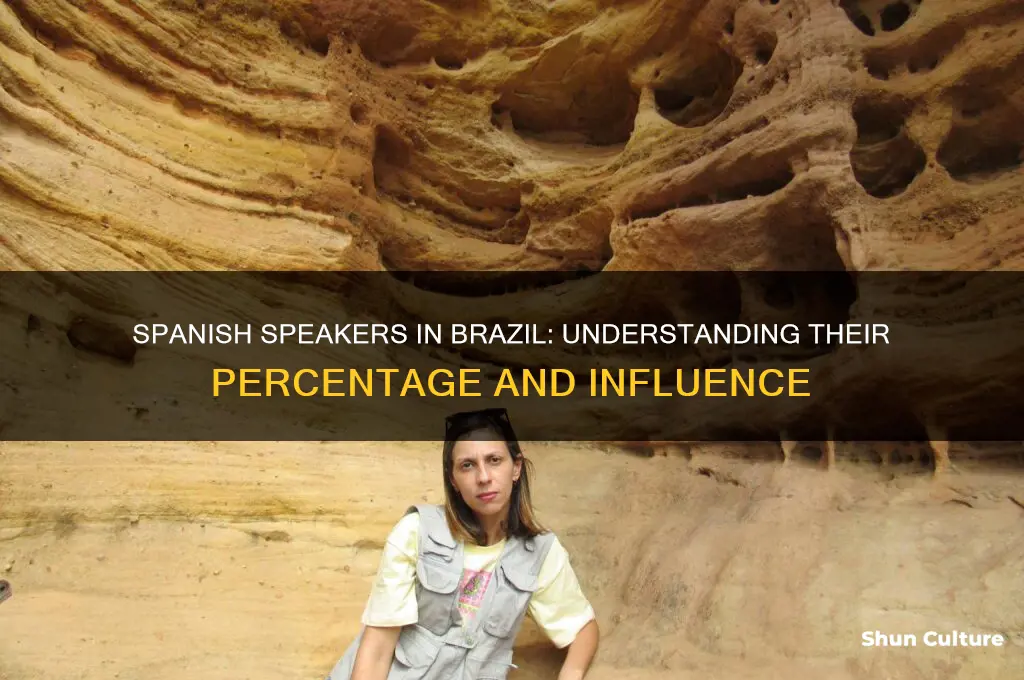 what is the percentage of spanish speaking people in brazil