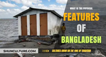 Exploring Bangladesh's Diverse Physical Features: Rivers, Plains, and Hills