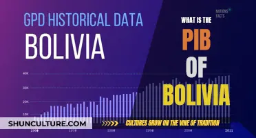 Bolivia's Economy: PIB Insights and Overview