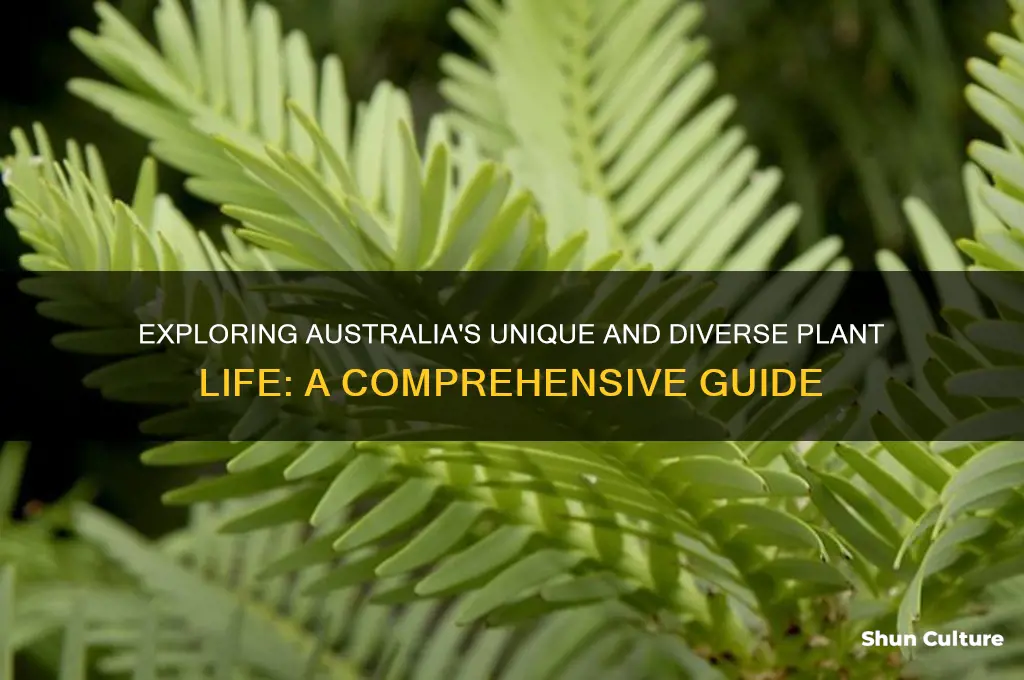 what is the plant life like in australia