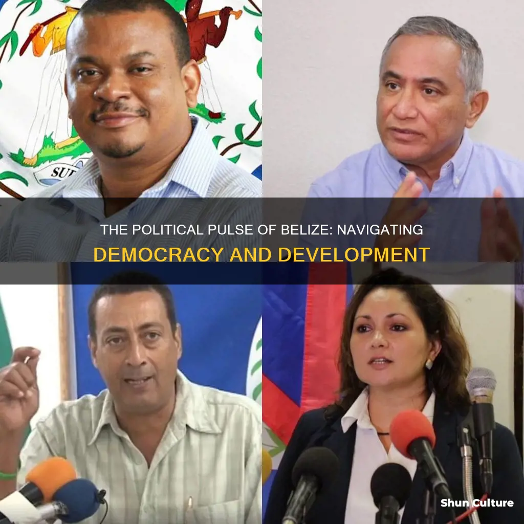 what is the political climate in belize