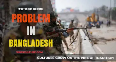 Bangladesh's Political Crisis: Deepening Divisions and Democratic Challenges Explained