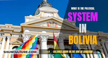 Bolivia's Political System: Democracy and Instability