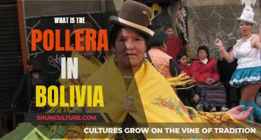 The Pollera: Traditional Wear of Bolivia