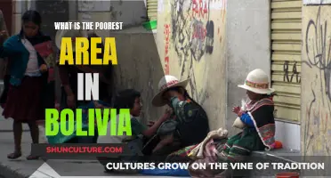 Bolivia's Poorest Areas: Where and Why?