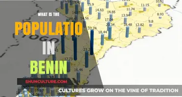 Exploring Benin: A Glimpse into the Country's Population Dynamics