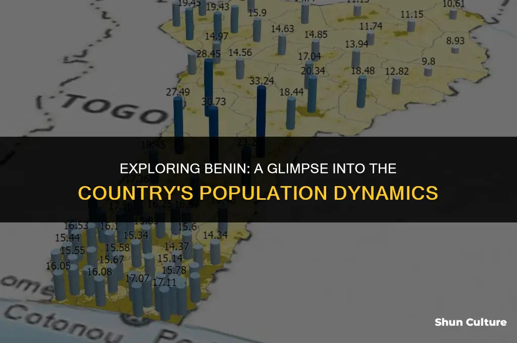 what is the populatio in benin