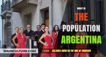 Exploring Argentina's Population: A Demographic Overview
