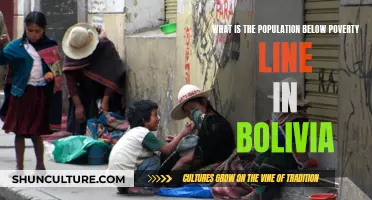 Bolivia's Poverty Line: Population Statistics and Insights