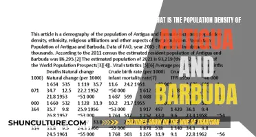 Exploring Antigua and Barbuda's Population Density