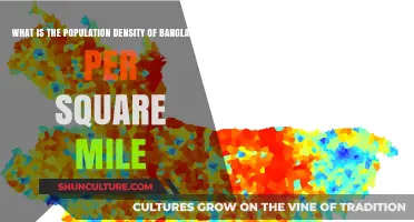 Exploring Bangladesh's Population Density: People per Square Mile Revealed
