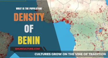 Exploring Benin: A Glimpse into Its Population Density