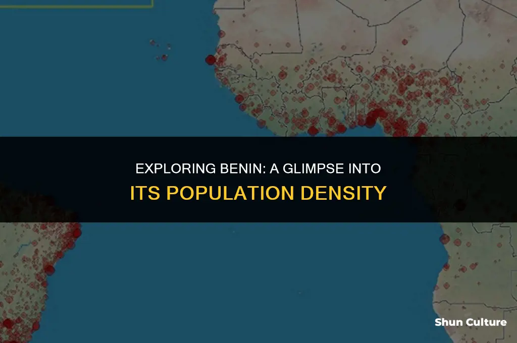 what is the population density of benin