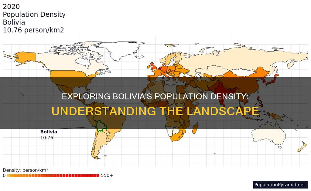 what is the population density of bolivia