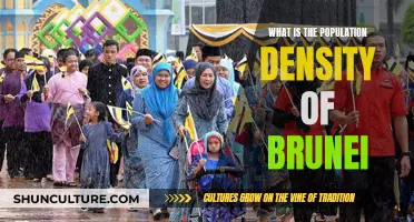 Exploring Brunei's Population Density: Understanding the Nation's Demographics