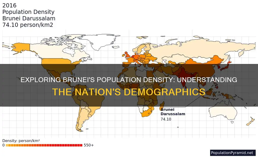 what is the population density of brunei