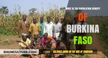 Exploring Burkina Faso: A Look at Population Density