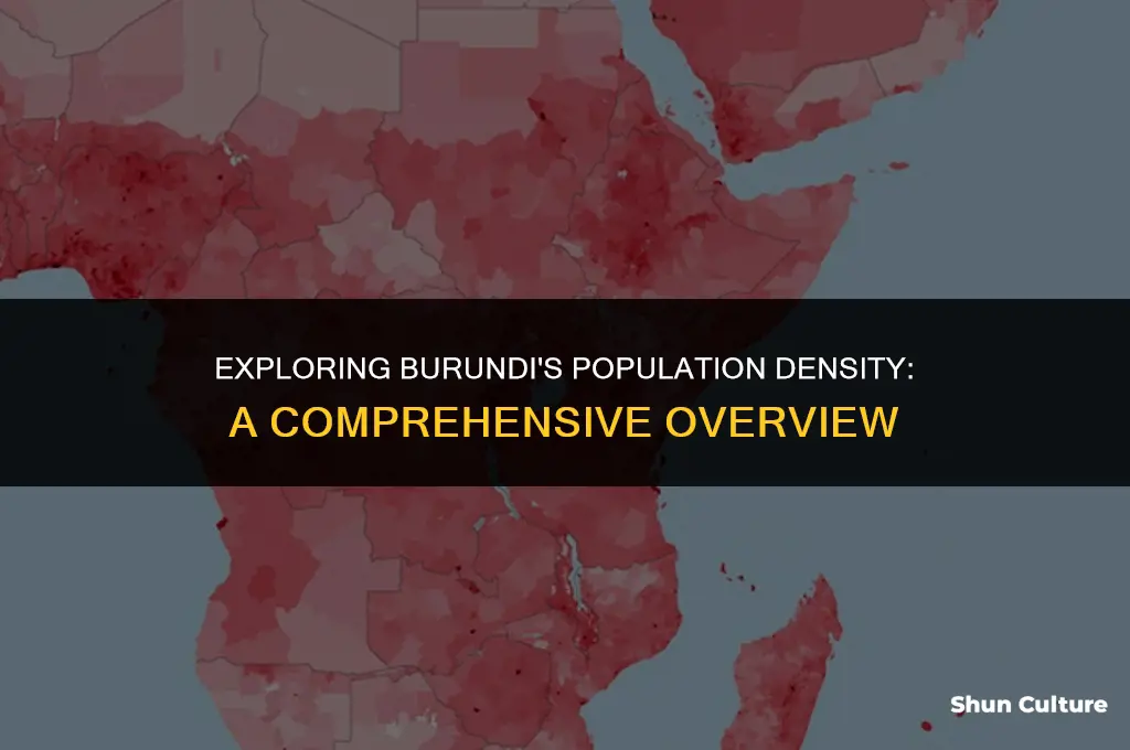 what is the population density of burundi