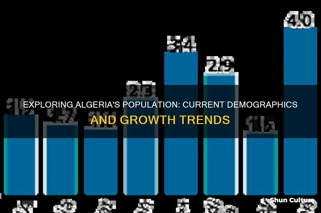 what is the population in algeria