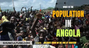 Angola's Population: Current Trends and Insights