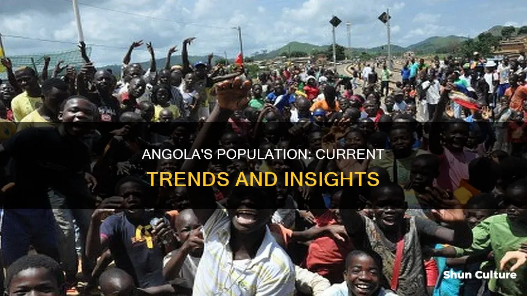 what is the population in angola