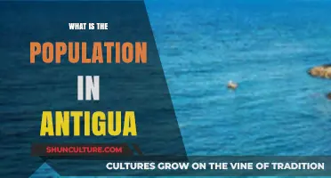 Discovering Antigua's Population: A Comprehensive Guide to Its Demographics