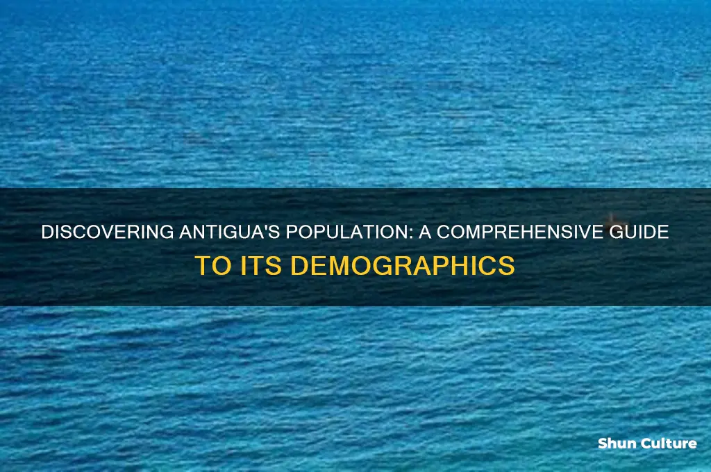 what is the population in antigua