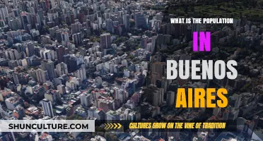 Exploring Buenos Aires: A Glimpse into Its Vibrant Population