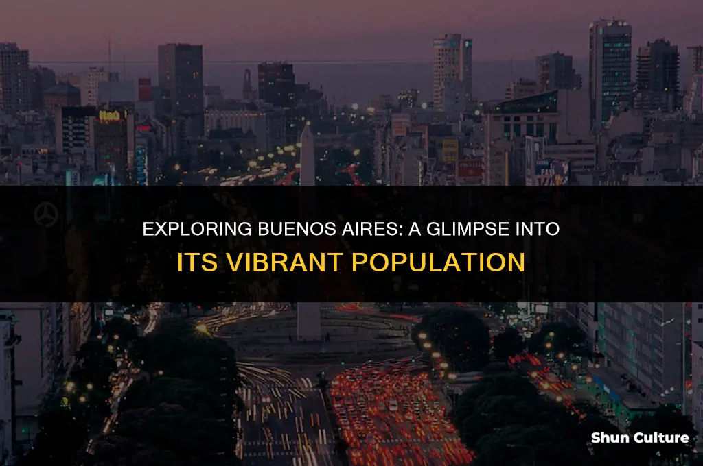 what is the population in buenos aires