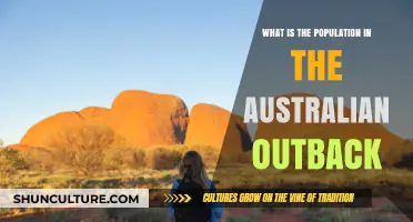 Exploring Population Trends in Australia's Outback