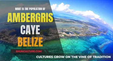 The Population Mystery of Ambergris Caye, Belize