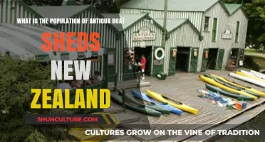 Exploring Antigua Boat Sheds: Population Insights in New Zealand's Gem