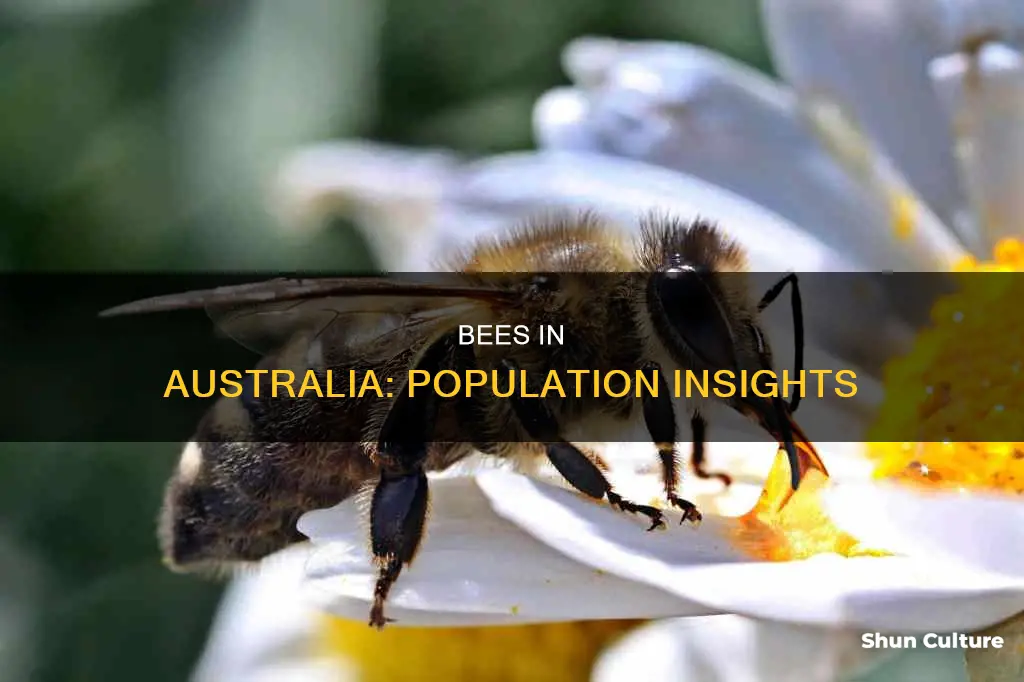 what is the population of bees in australia