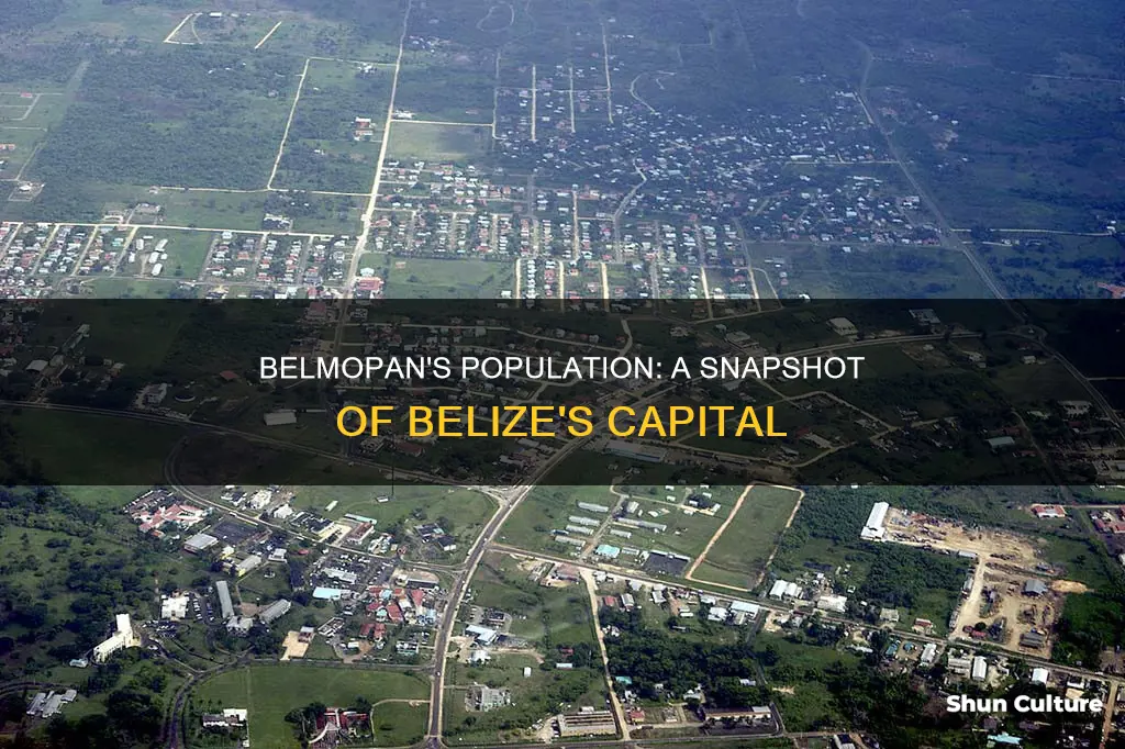 what is the population of belmopan belize