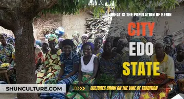 Exploring Benin City: A Glimpse into Edo State's Population Dynamics