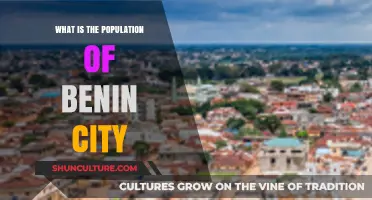 Exploring Benin City: A Glimpse into Its Population and Culture