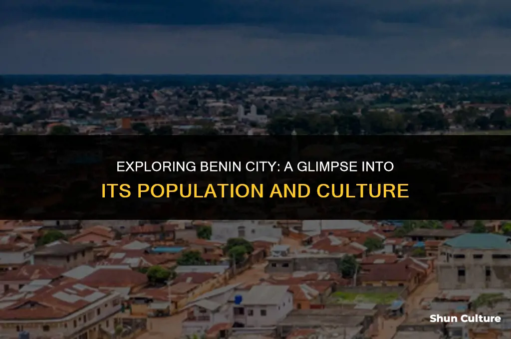 what is the population of benin city