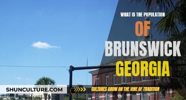 Brunswick, Georgia: Population Trends
