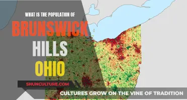Brunswick Hills, Ohio: Population Mystery