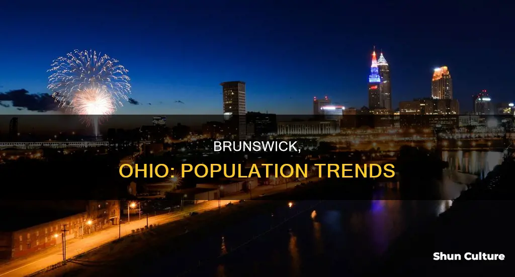 what is the population of brunswick ohio