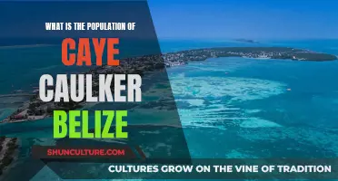 The Population Mystery of Caye Caulker, Belize