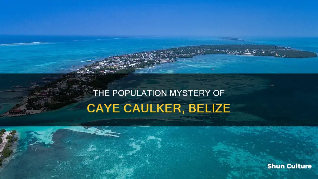 what is the population of caye caulker belize