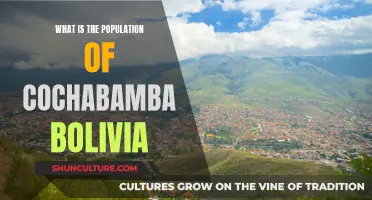 Exploring Cochabamba: Population and Bolivian Culture