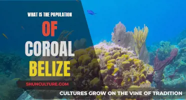 The Mystery of Coral Belize's Population