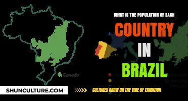Exploring Brazil's Population: A Breakdown by Country and Region