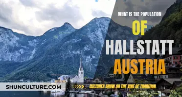 Unveiling Hallstatt's Population: A Unique Austrian Village's Demographic Secrets