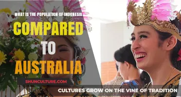 Demographics: Indonesia vs Australia