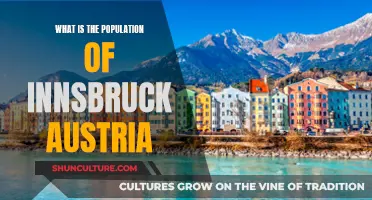 Innsbruck's Vibrant Population: A City's Thriving Community