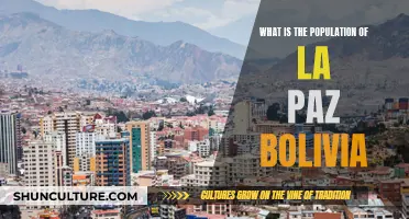 Exploring La Paz, Bolivia: Population Insights and More