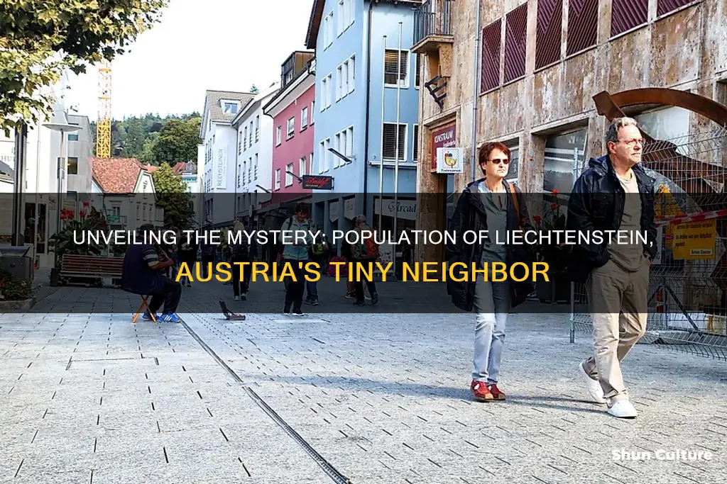 what is the population of lickenstein austria